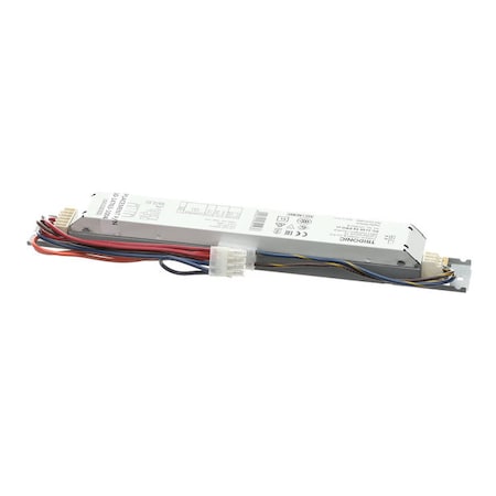 Anthony International Ballast 2-Lamp, T8 2X58, 600V 60-14763-1004